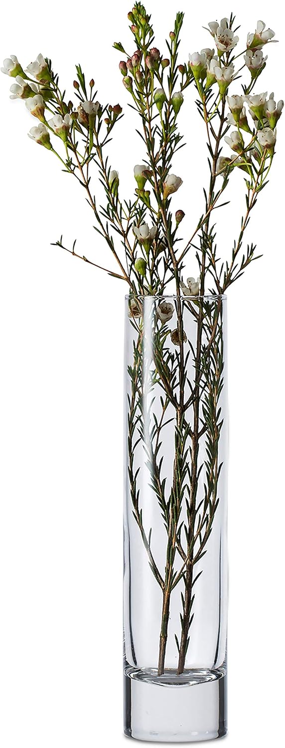 Libbey Cylinder Bud Vases, 7.5-inch, Set of 12