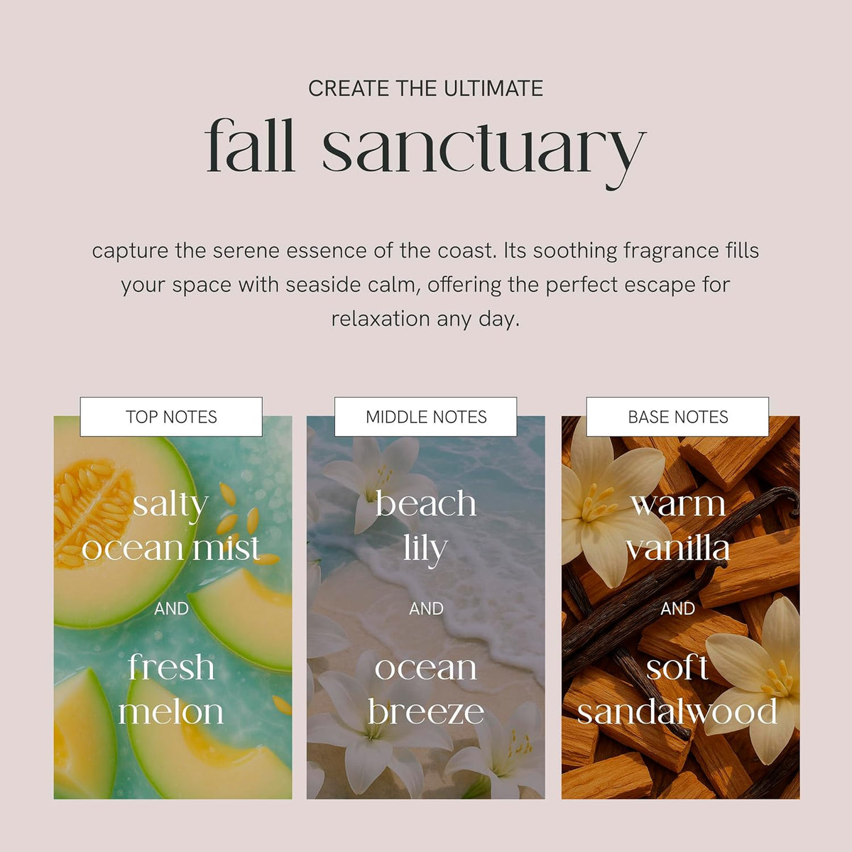 Sea Salt & Vanilla Candle, Hand-Poured Soy & Coconut Wax Blend, Soothing Aroma with Ocean Air & Creamy Vanilla Notes, 40 Hr Even Burn Candles for Home Scented Collection, 8 oz Jar