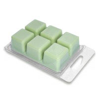 Premium Clear Plastic Wax Melt Clamshells Pack of 100